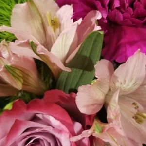 Meet your Posher, Carole